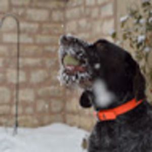 Meet your Posher, Sofia